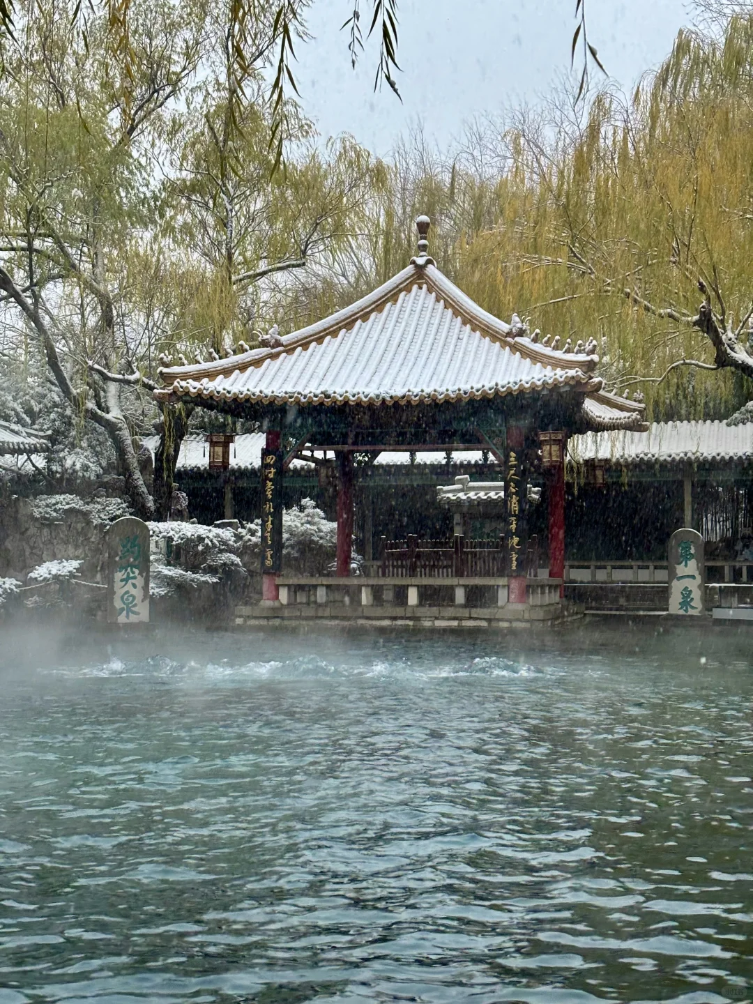 12.12趵突泉live❄️济南的初雪如约而至