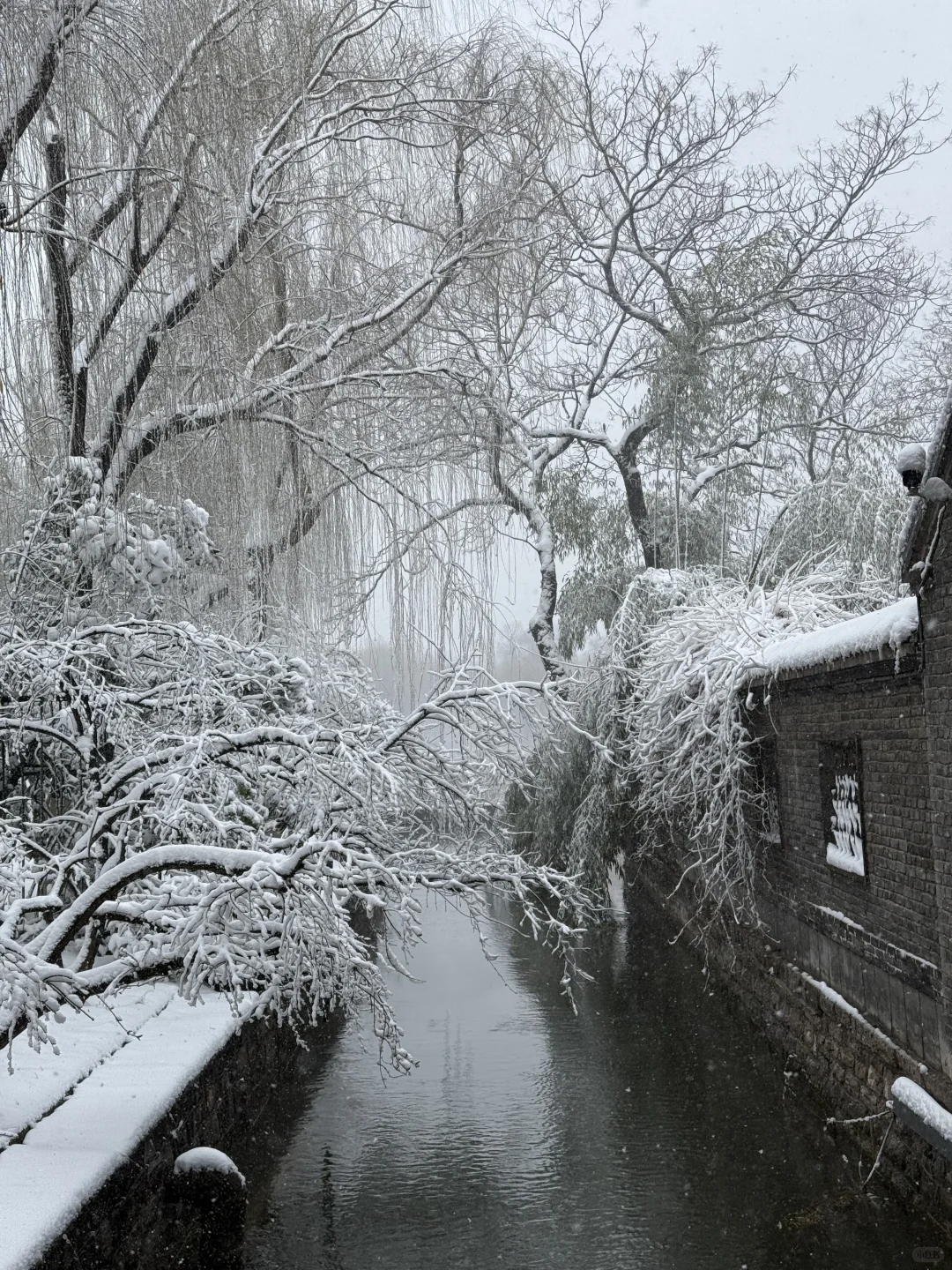 济南12.13实况，暴雪中的大明湖已经美疯了….