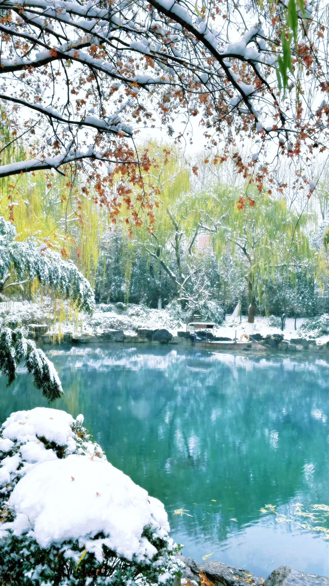 Live济南初雪！趵突泉在雪中沸腾成仙境️❄️