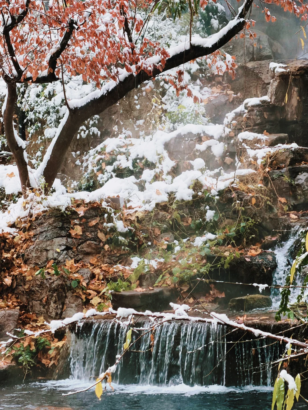 济南12.13实况，暴雪中的趵突泉已经美疯了