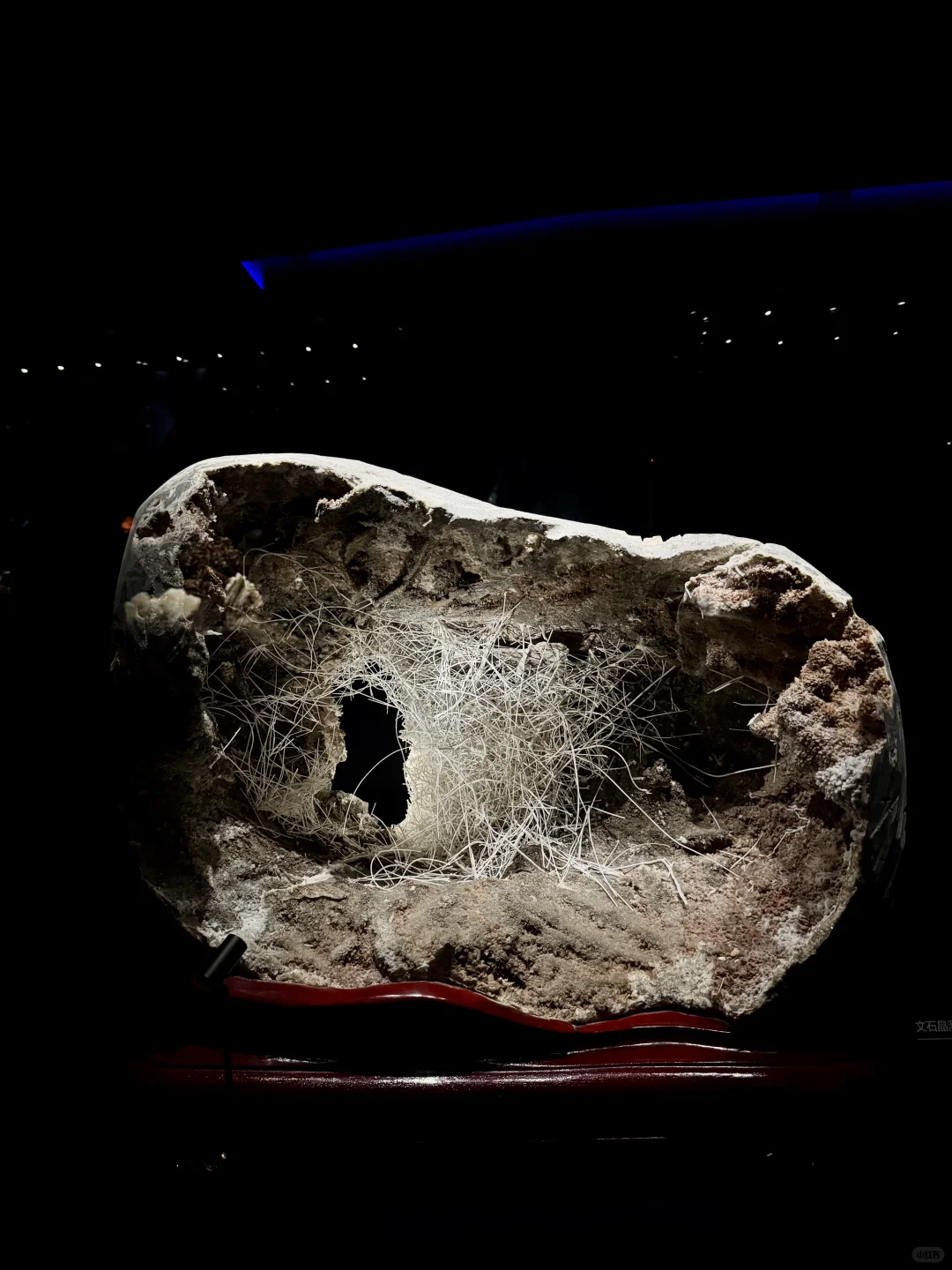 山东博物馆欠全国一个解释？？？？？？？？？？