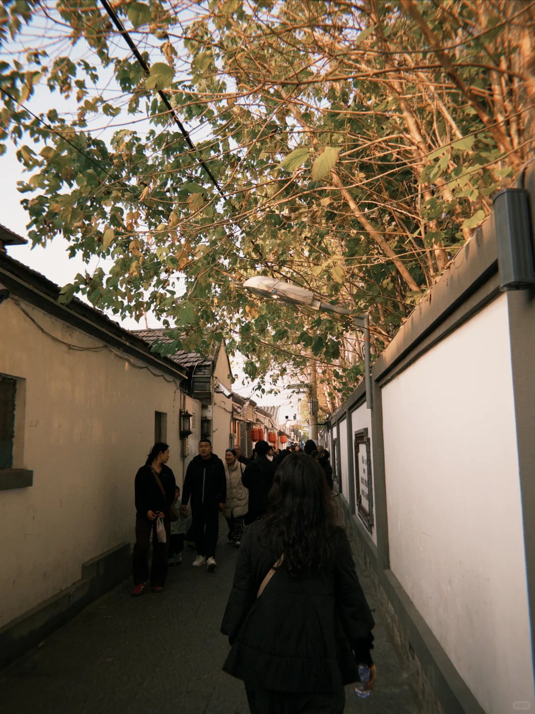 济南的冬｜两天一晚看泉攻略🫧