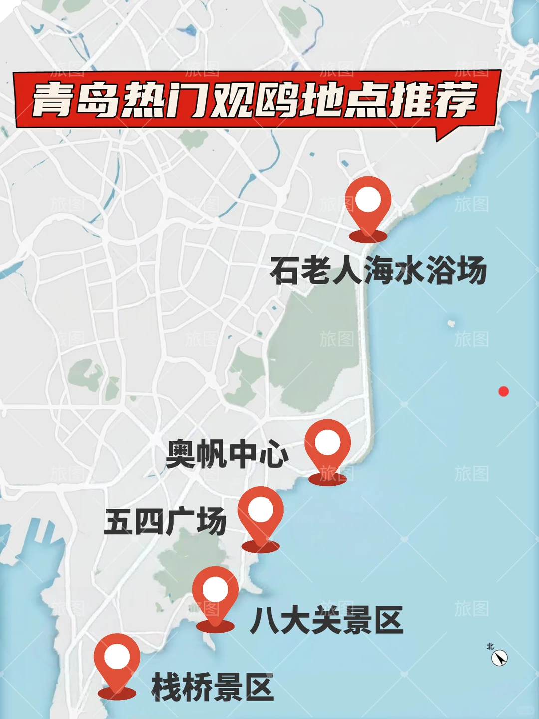 看鸥好去处，快去打卡！