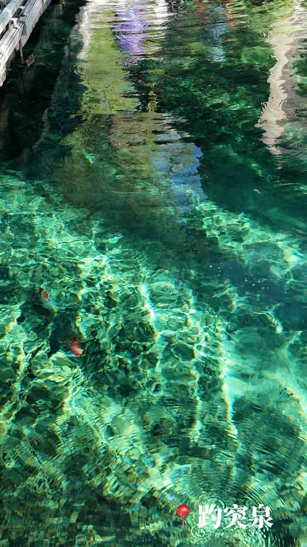 🍂济南的秋天｜泉城1天半随意citywalk