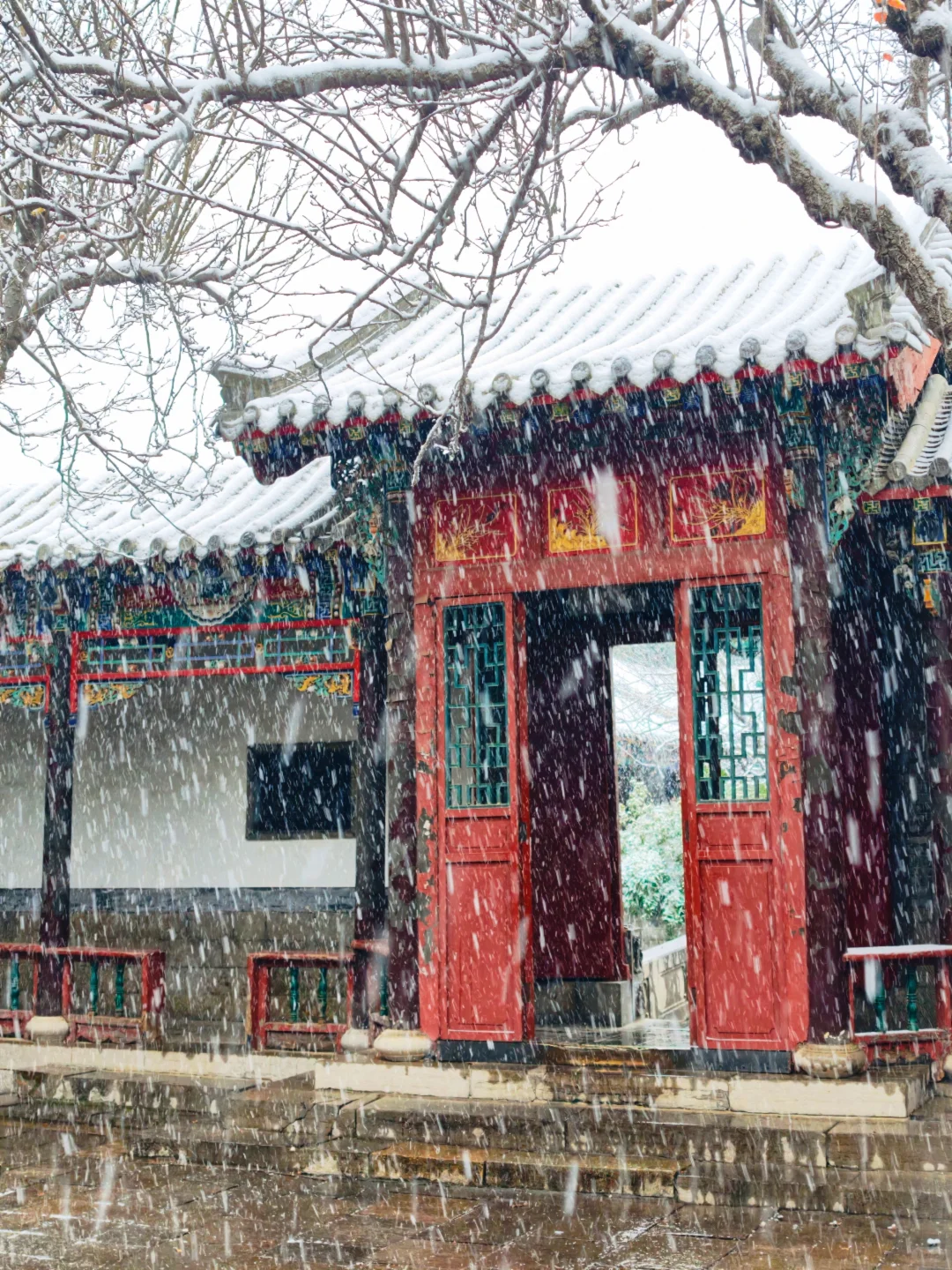 雪中趵突泉，美疯了