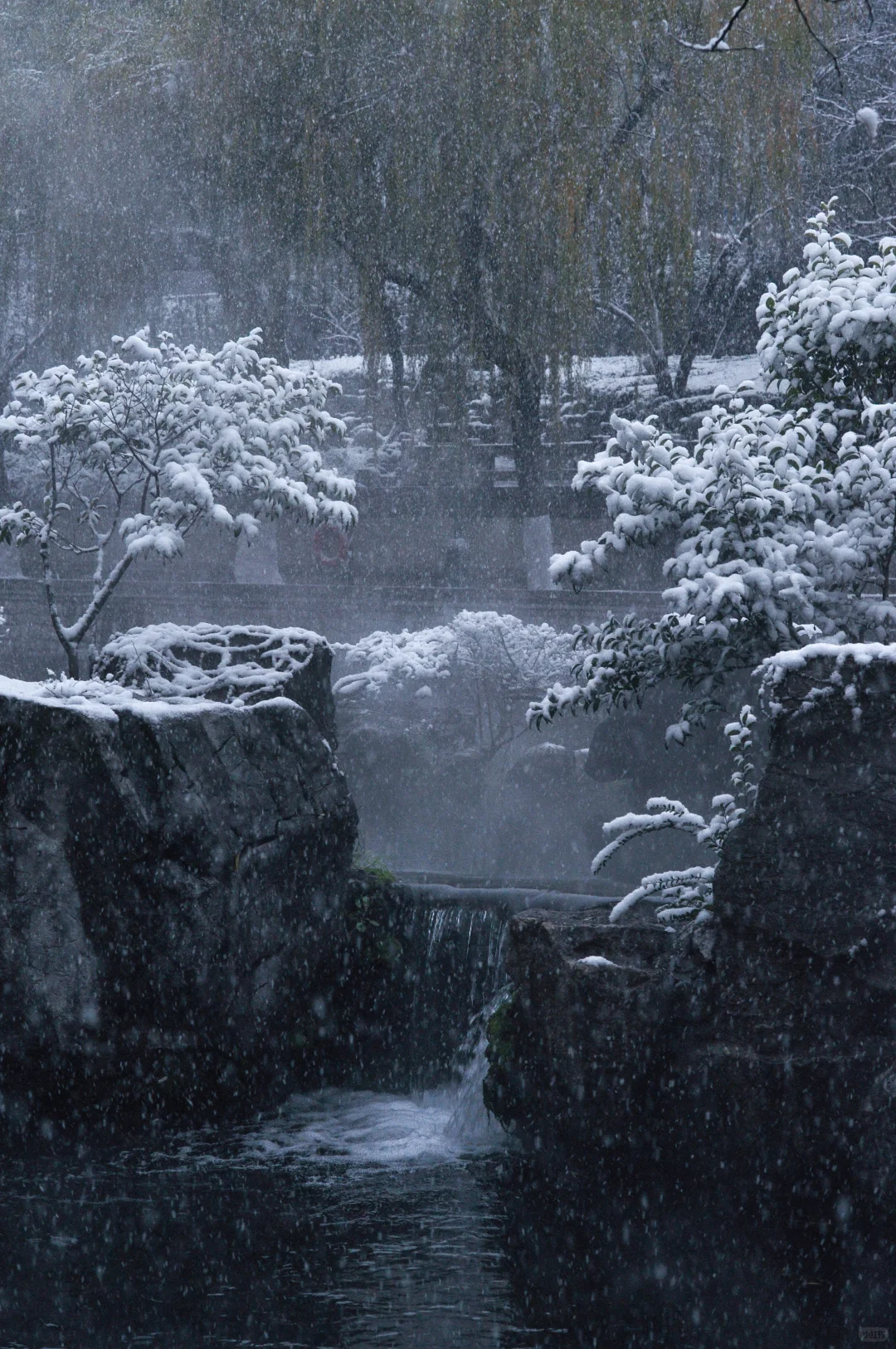 “这就是冬天的济南”