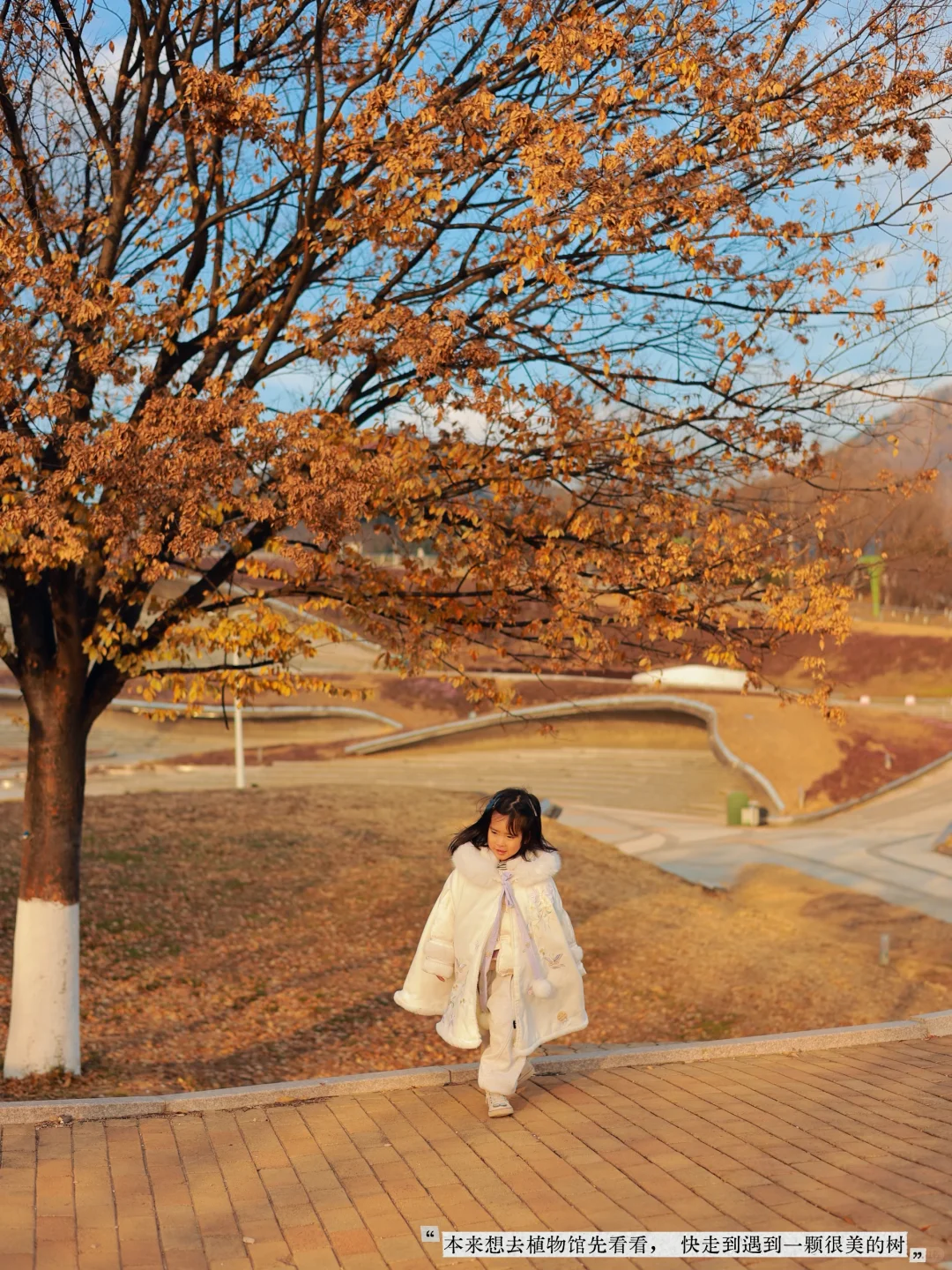 青岛·藏在世园会的教育基地