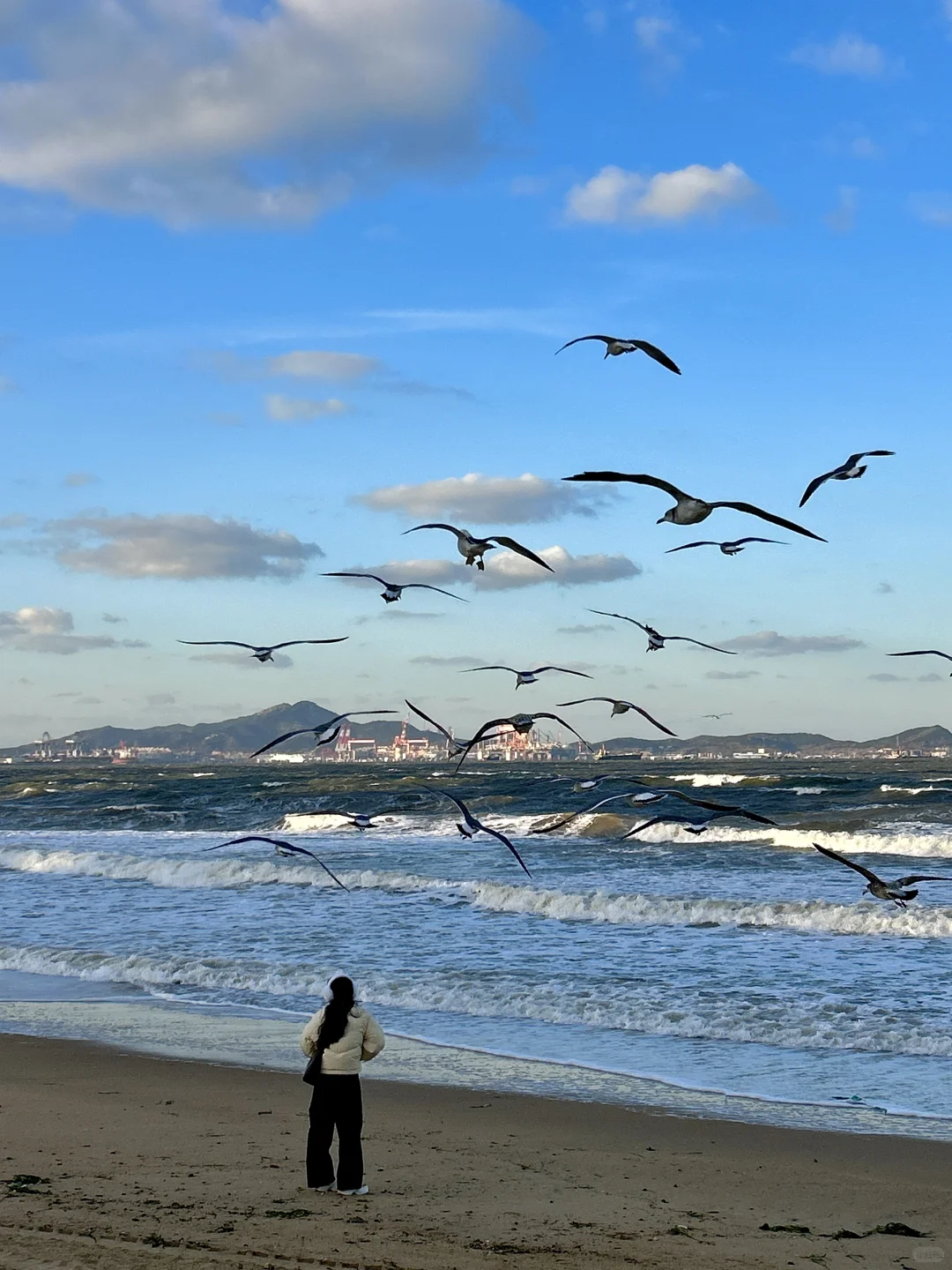 烟台！！12·11实拍！又是浪漫的一天啊