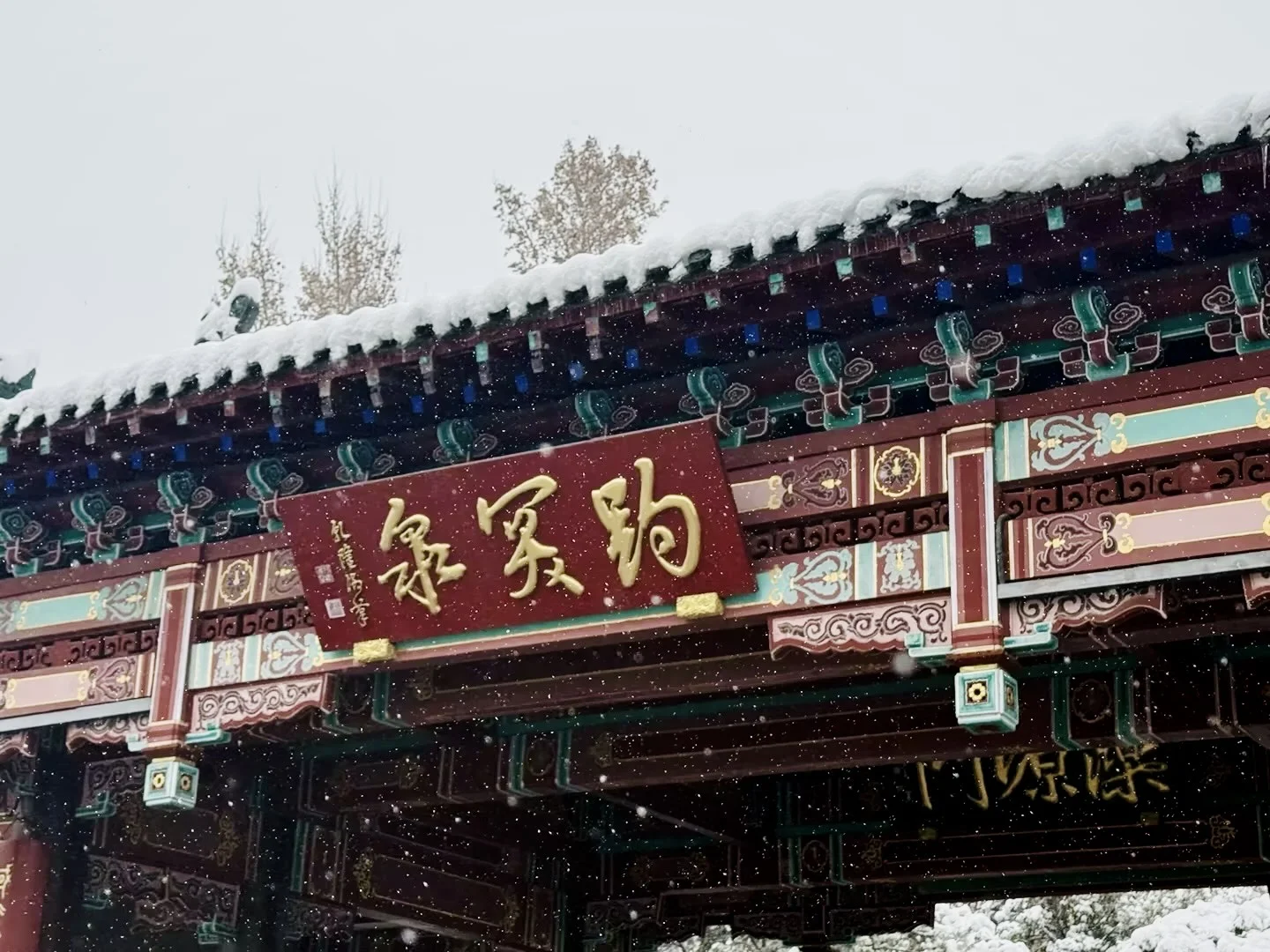 济南12.13实况，雪后的趵突泉美疯了！！！