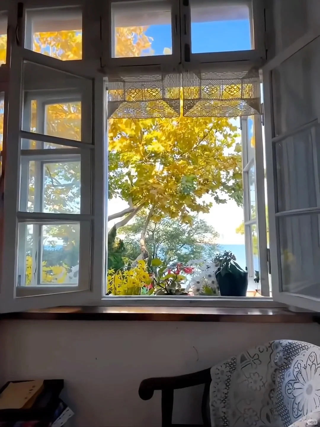 来青岛住我家吧！128俩人😭（12.14后空）