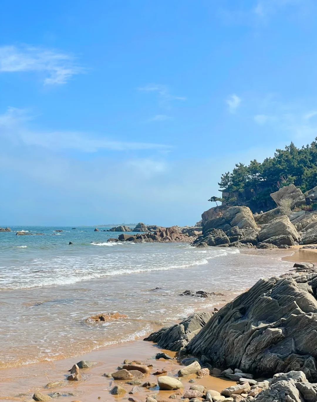 青岛欢迎姐妹来乘风破浪（义工旅居）