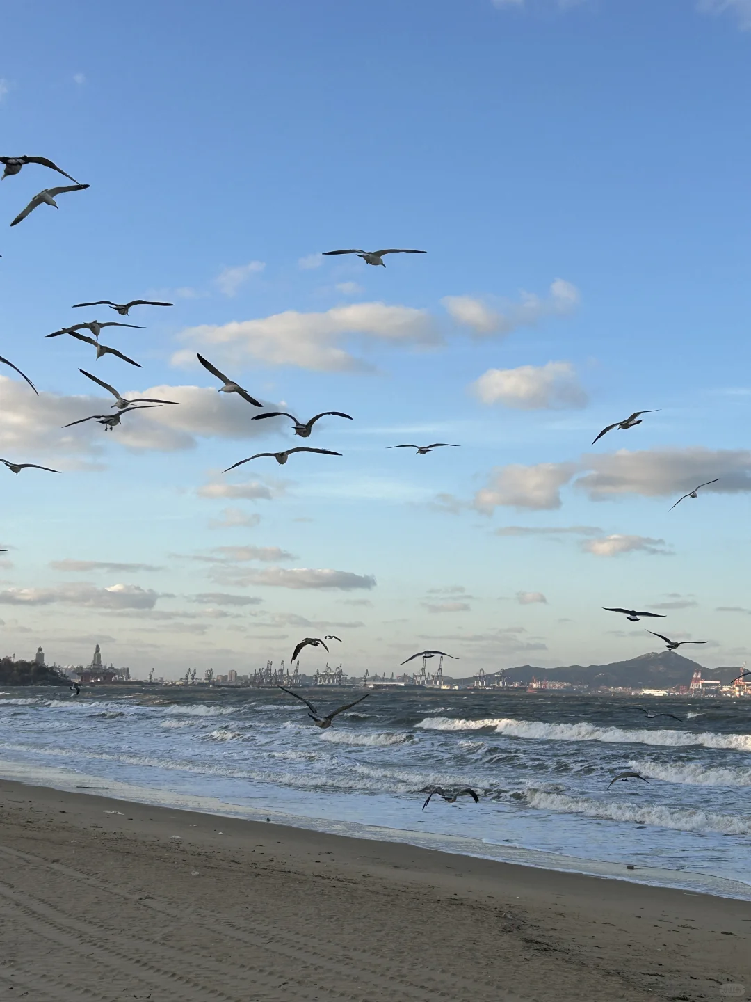 烟台！！12·11实拍！又是浪漫的一天啊