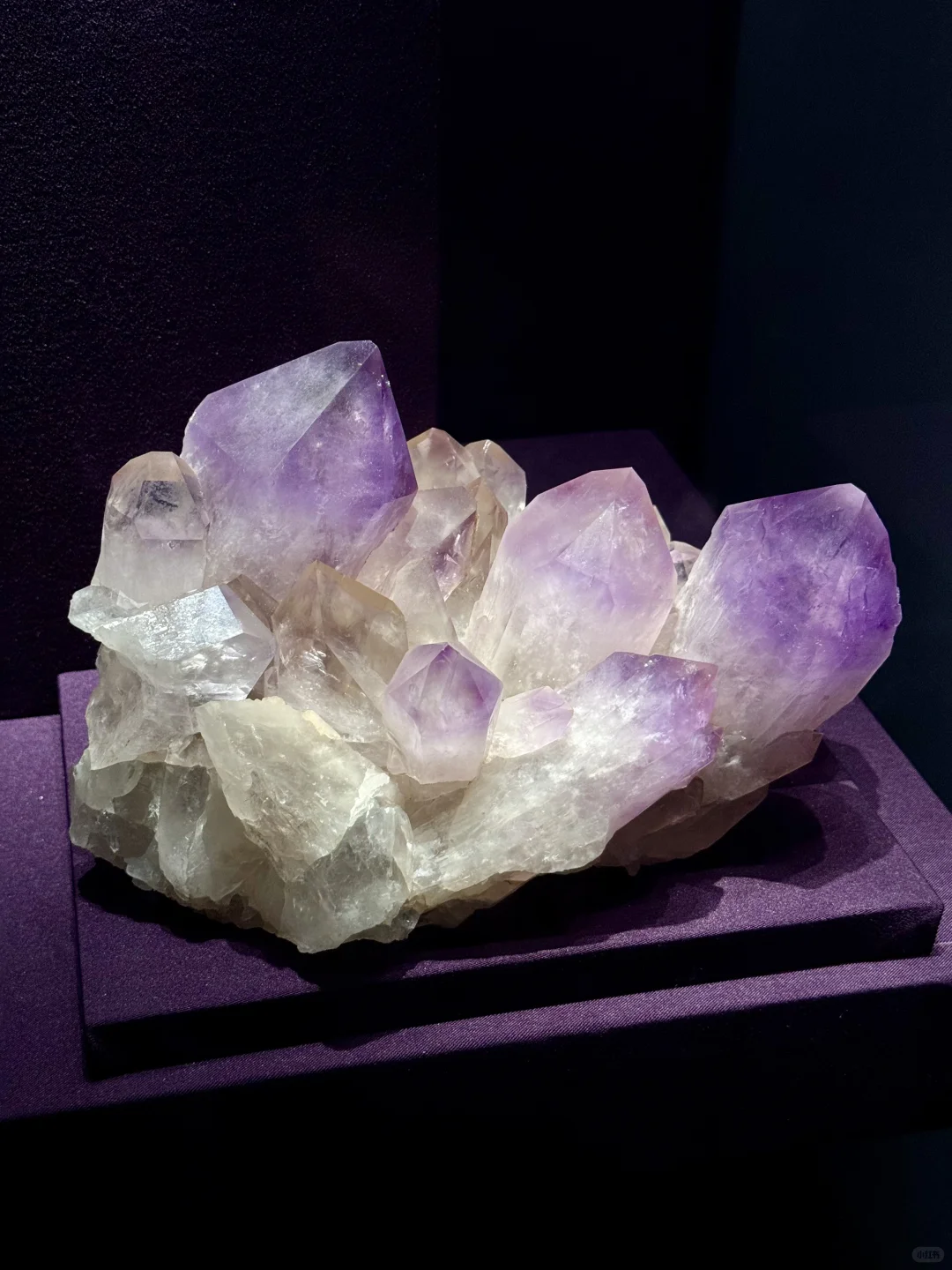 山东博物馆欠全国一个解释？？？？？？？？？？