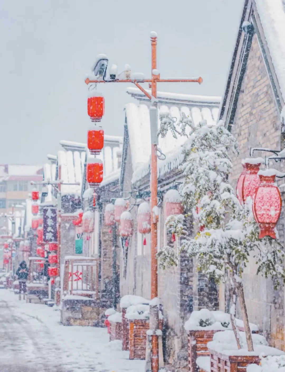 听说你的城市下雪了❄