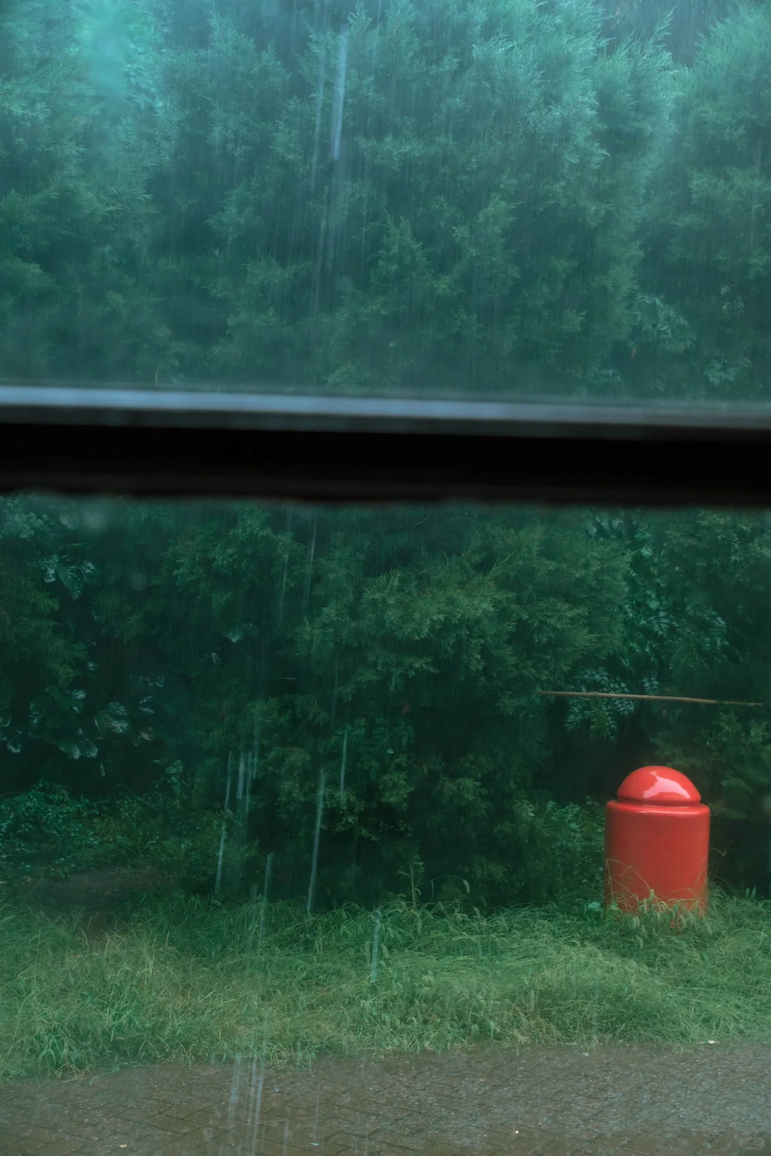被困在烟台的一场雨里