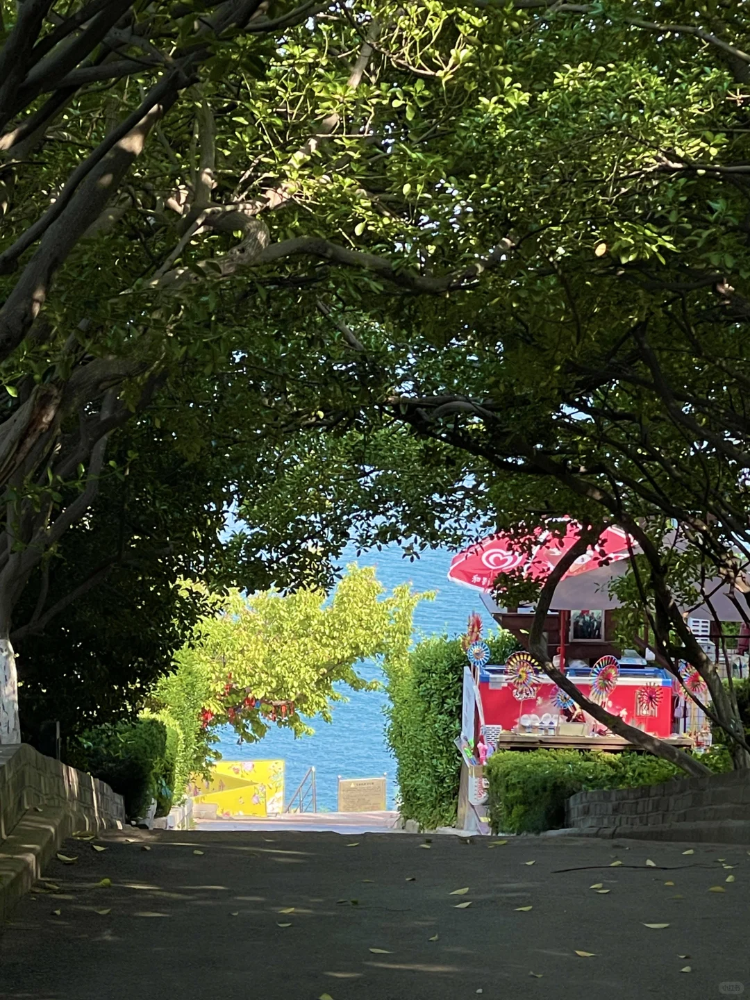 已经开始怀念烟台的夏天了