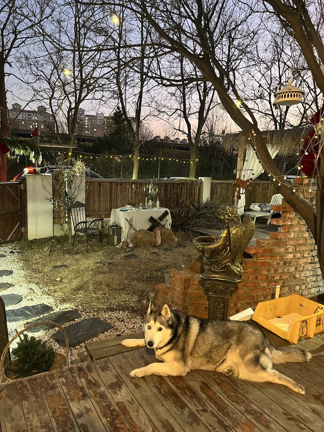 烟台圣诞氛围up🎄🌟