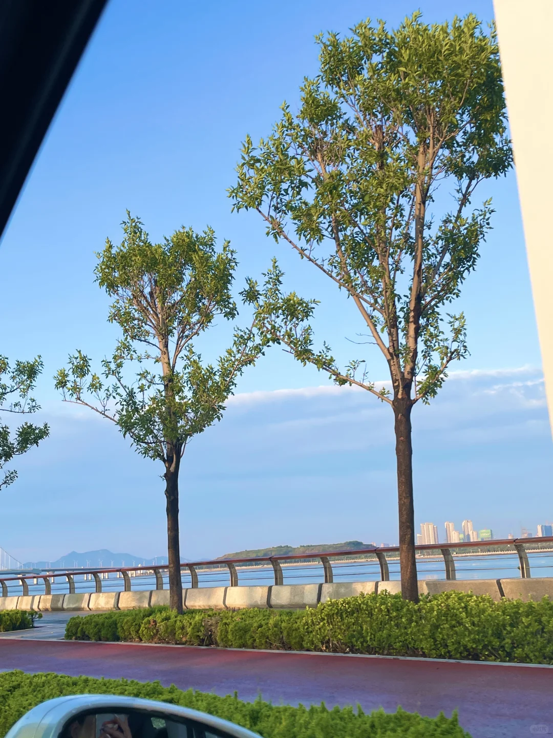 已经开始怀念烟台的夏天了