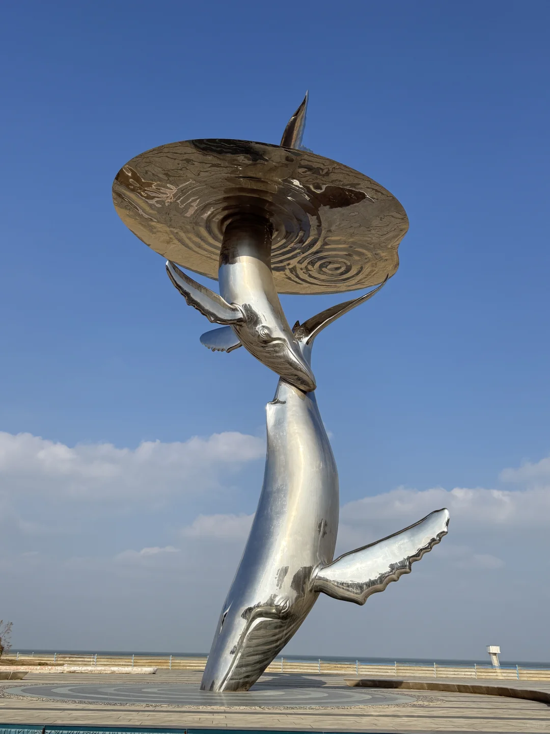 📍𝐘𝐚𝐧 𝐓𝐚𝐢 烟台🏝