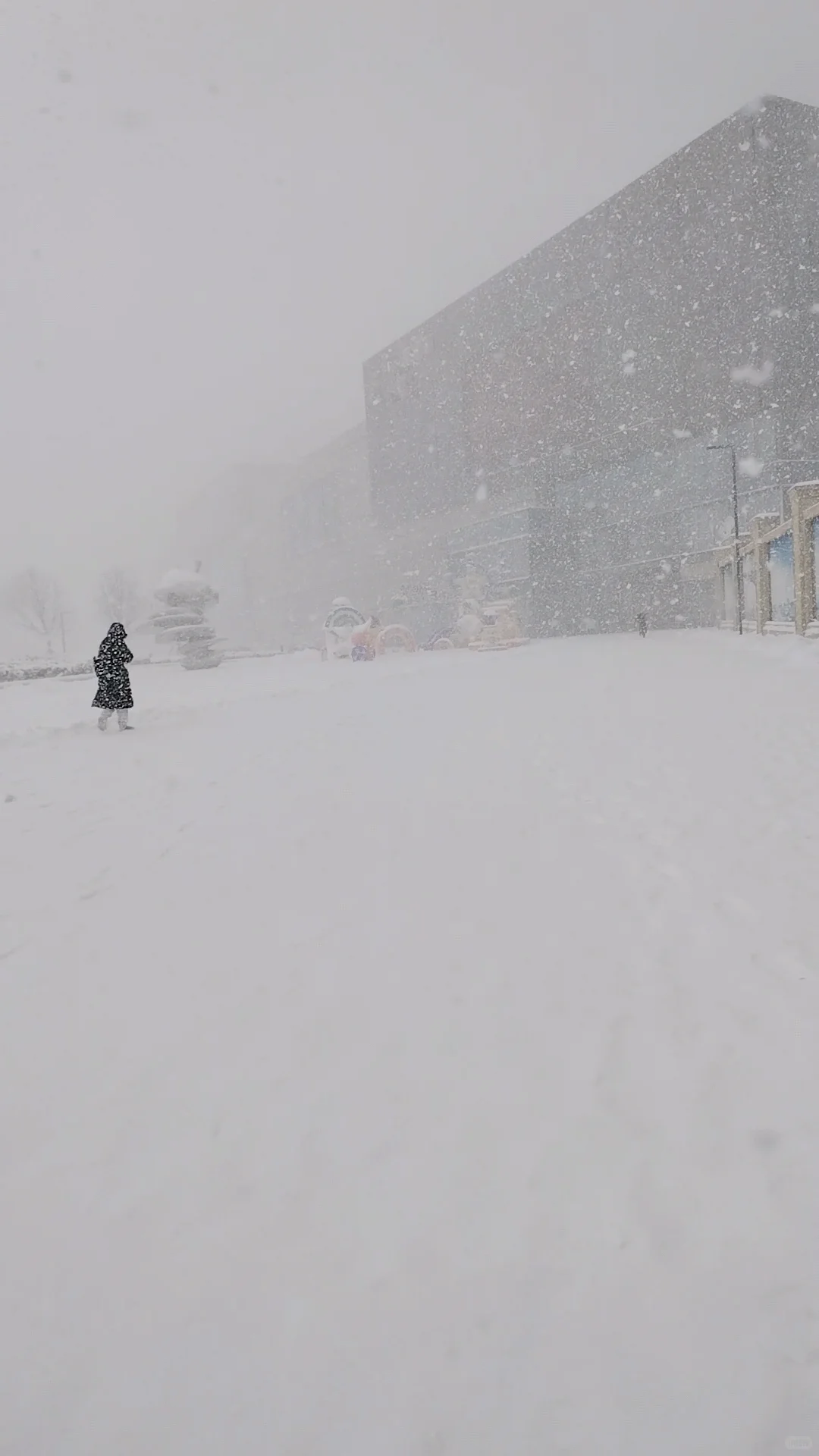 2025年1月9日烟台大雪实景图，坐标莱山
