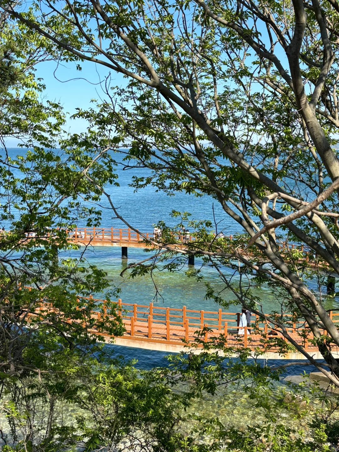 烟台｜5.3 养马岛实况