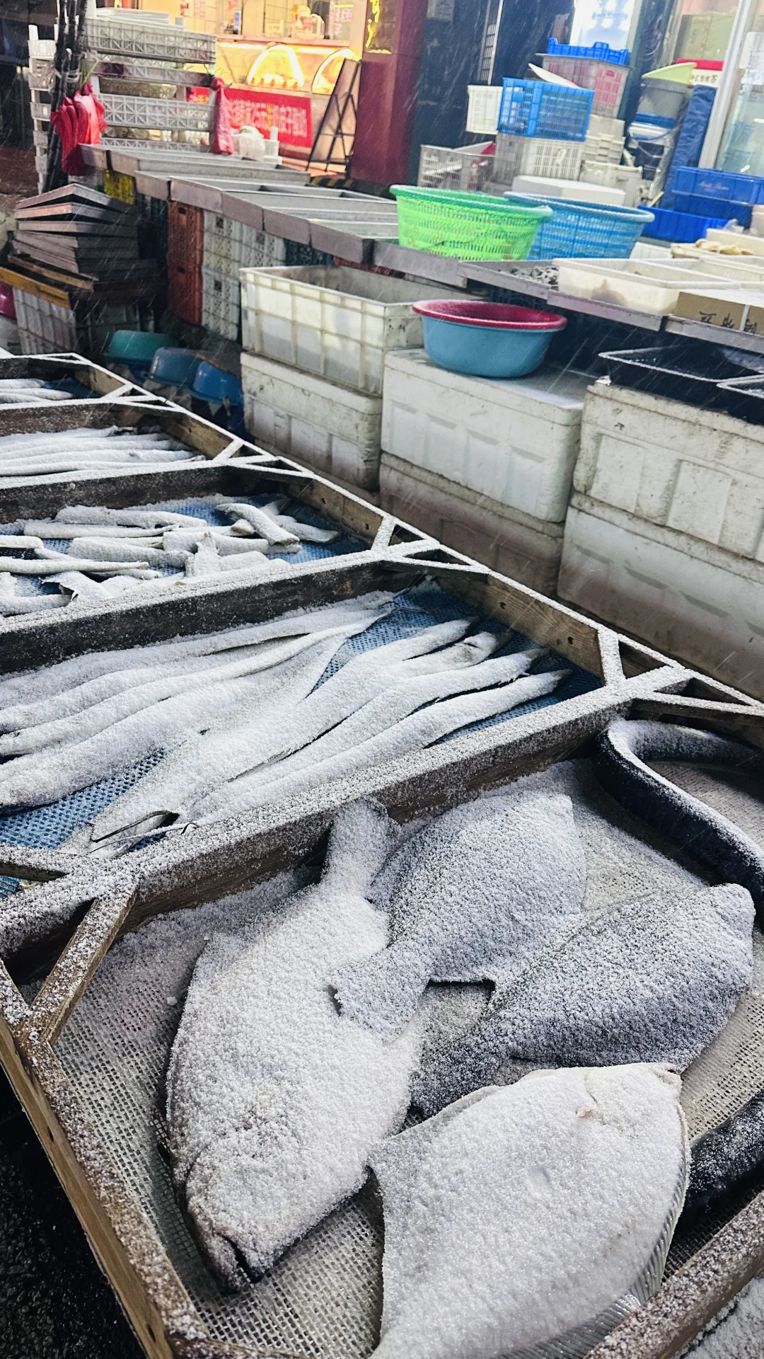 2025.12.13 实况：烟台下雪了