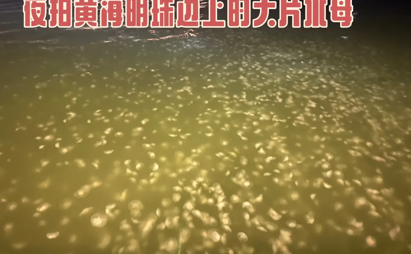 8.25烟台已回 攻略自取，不喜勿喷