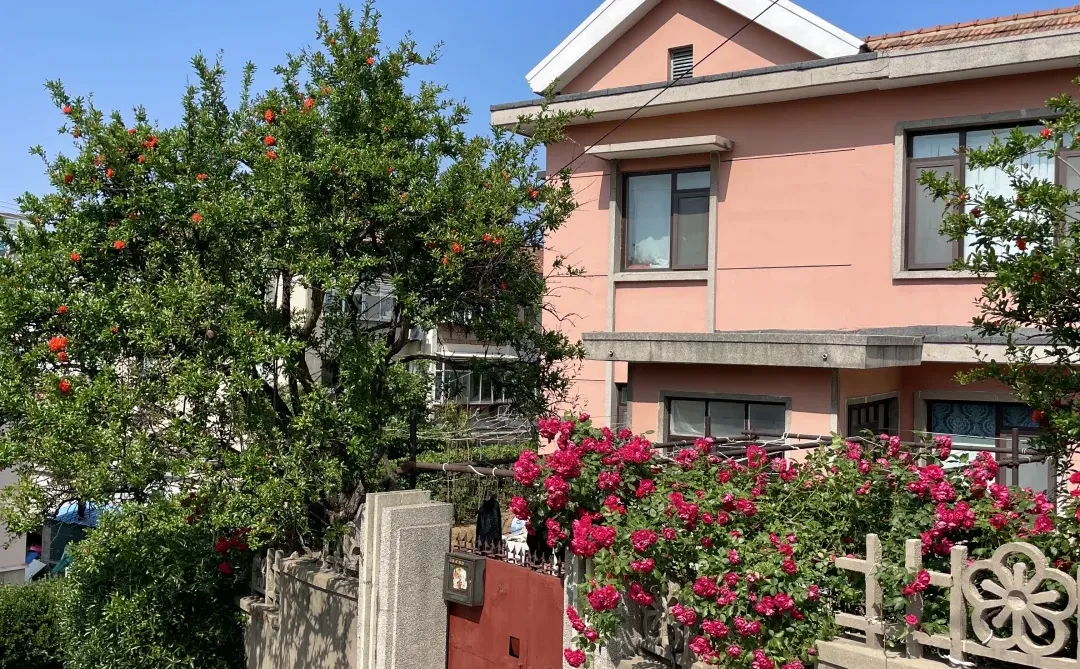 已经开始怀念烟台的夏天了