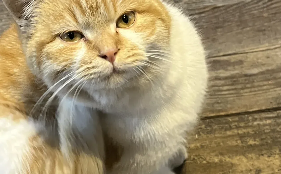 烟台圣诞氛围up🎄🌟