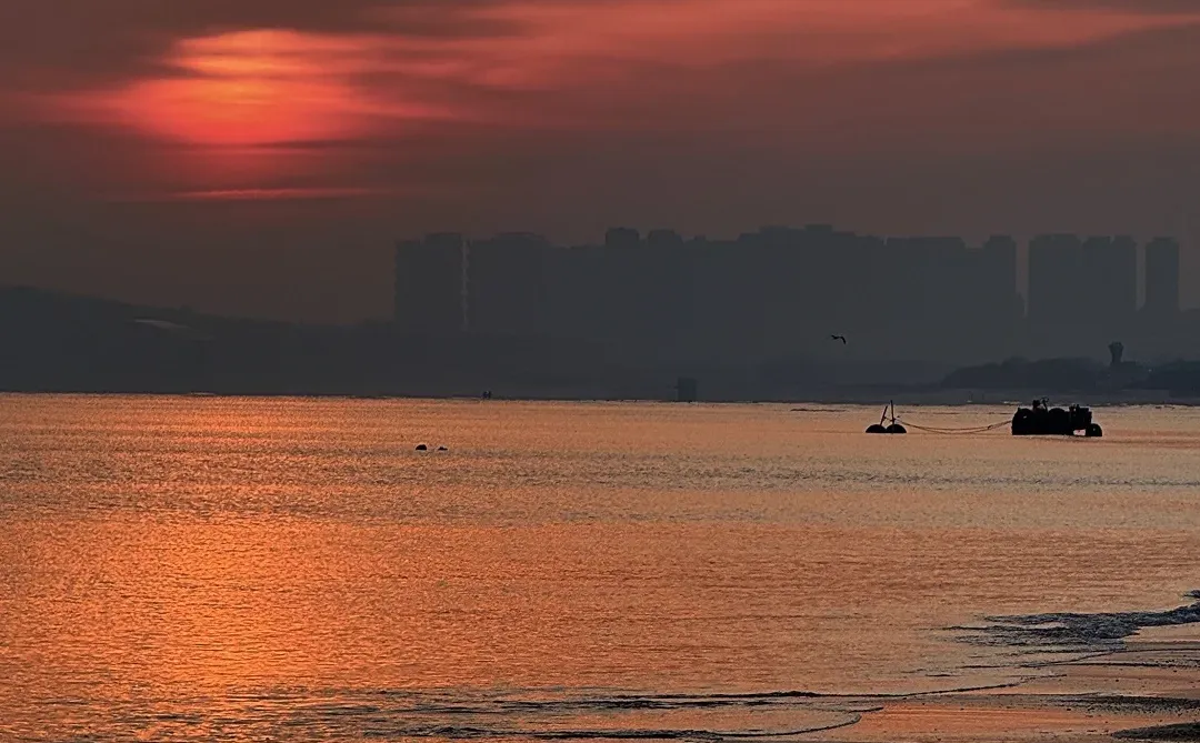 来烟台赴一场追光的浪漫