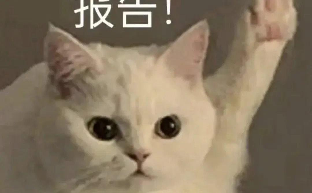 自救贴，是本人，烟台龙口人