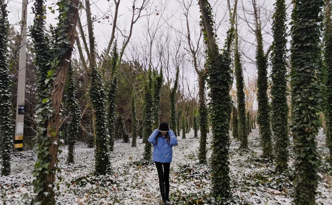 是银装素裹的烟台！