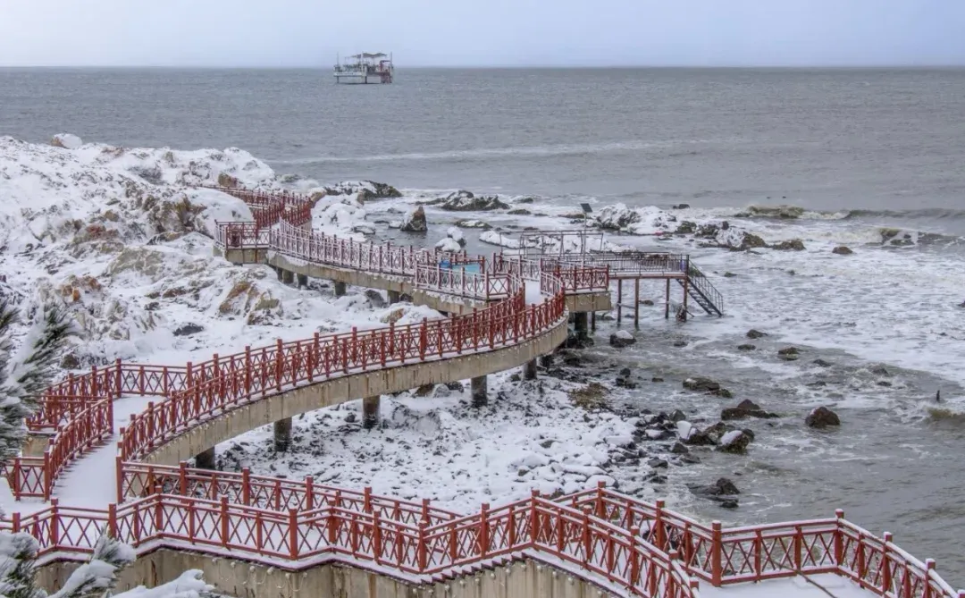 听说你的城市下雪了❄