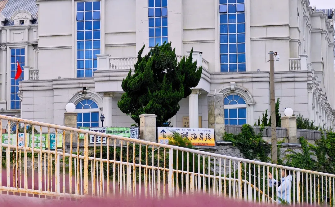 烟台粉黛子好美！