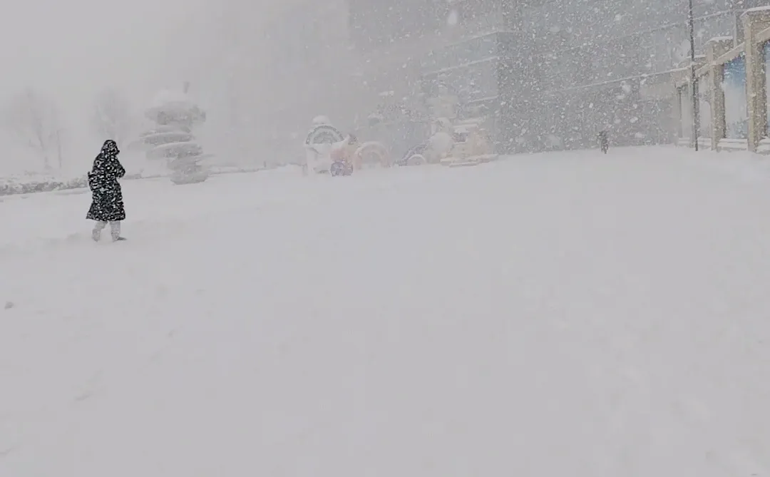 2025年1月9日烟台大雪实景图，坐标莱山