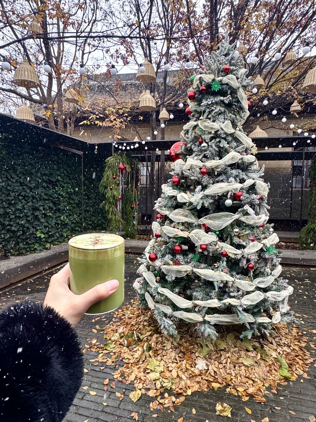 烟台12.13实况！暴雪中的烟台已经美疯了🎄…