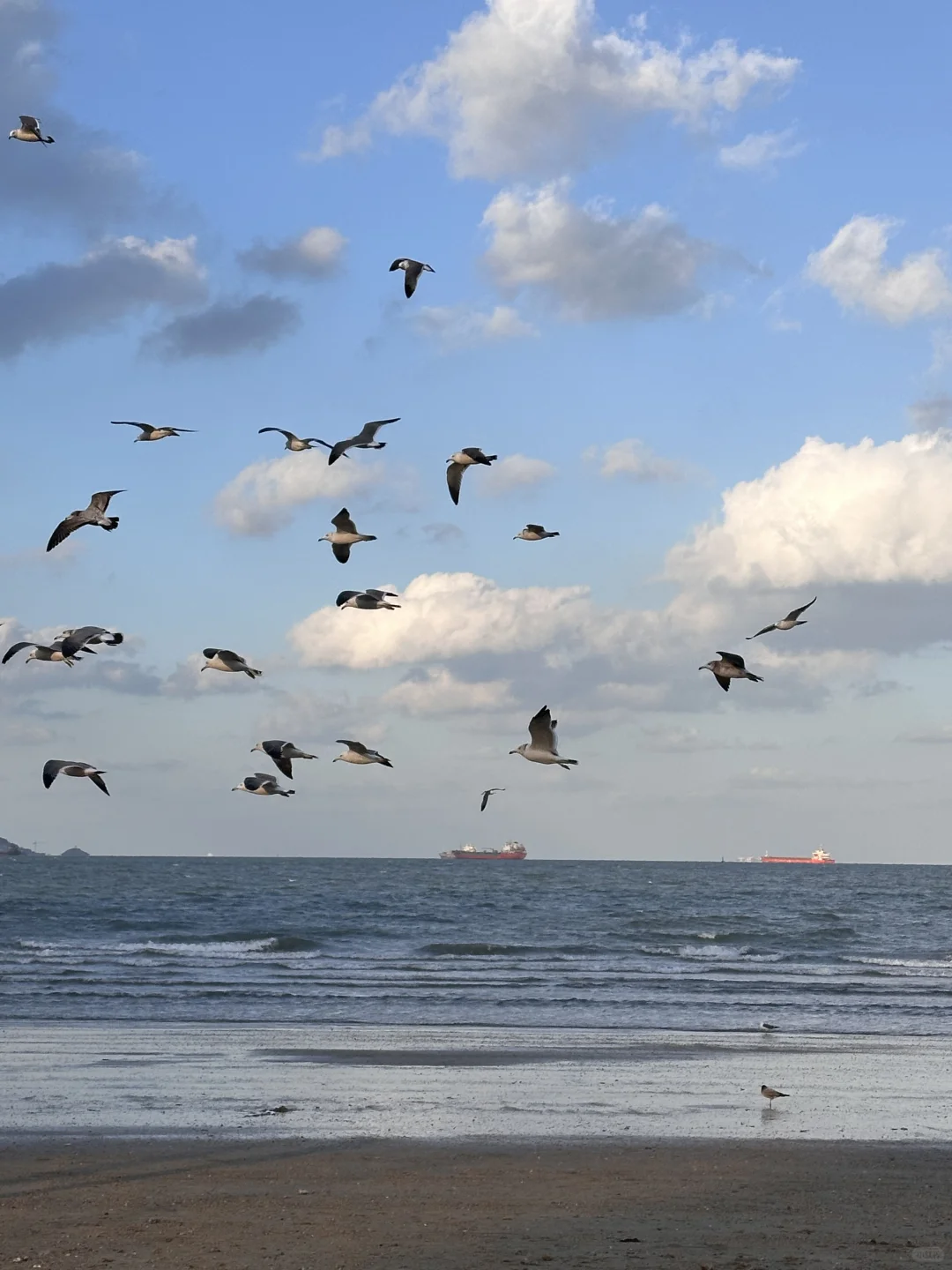 为了这18张照片，特意来了烟台！附攻略版