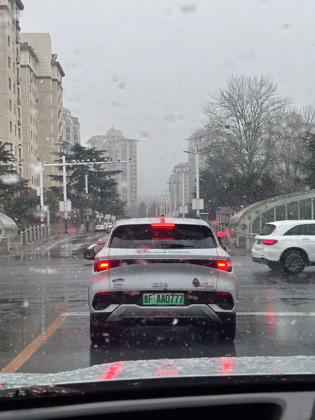 12月底之前烟台大雪基本无望了 奔一月去了