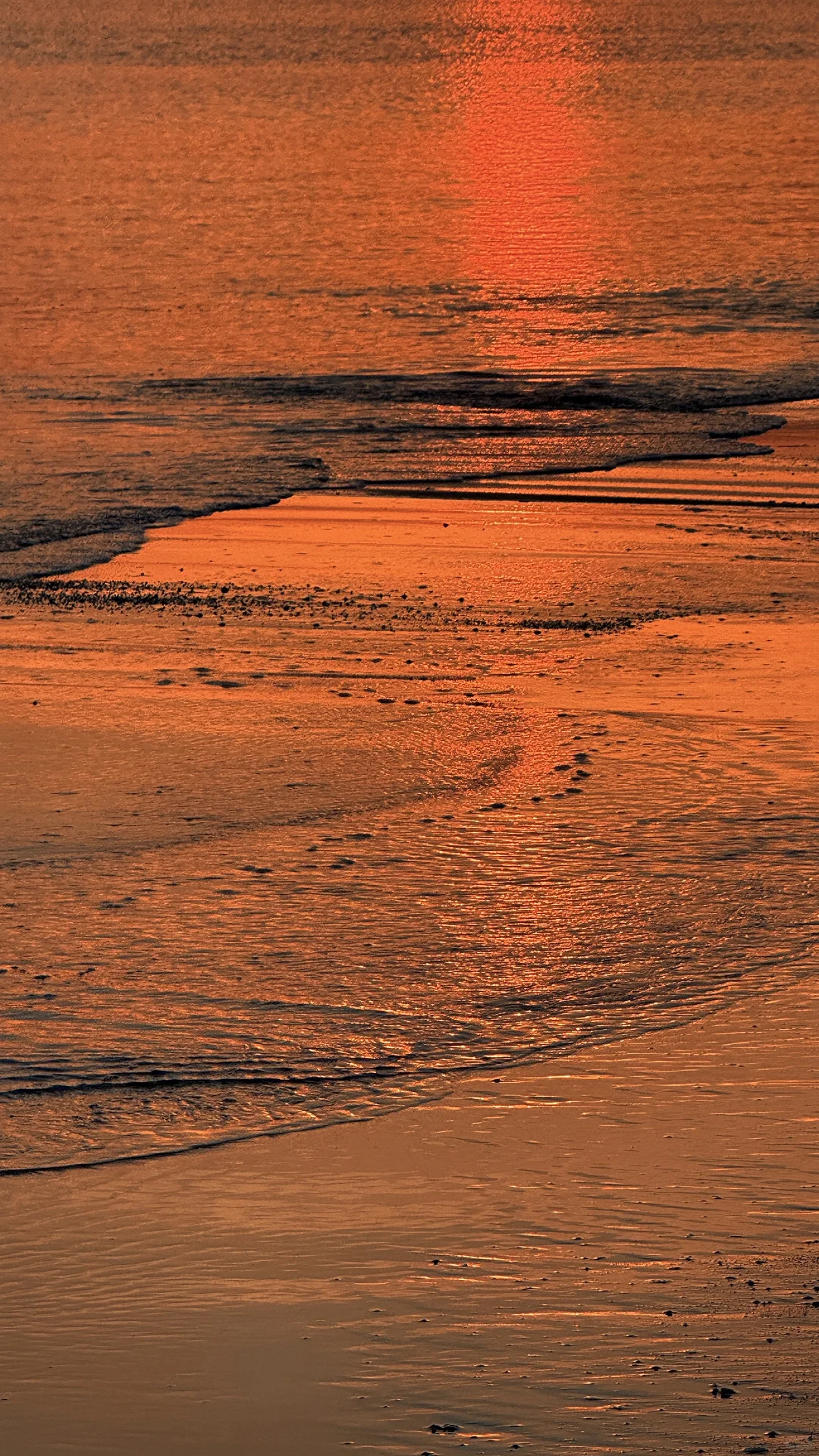 来烟台赴一场追光的浪漫