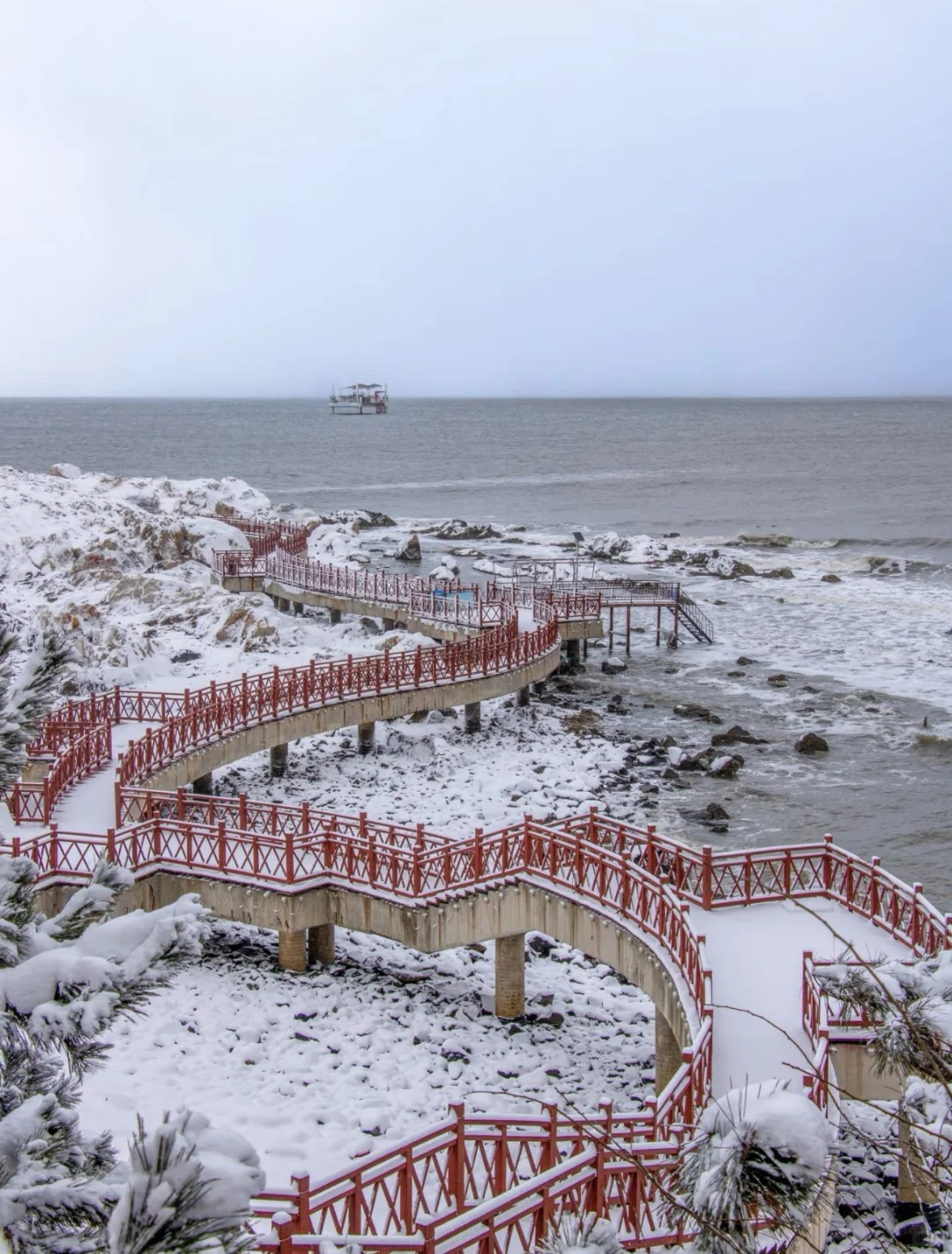 听说你的城市下雪了❄