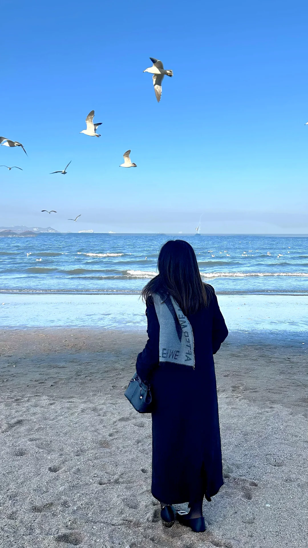 烟台你太美了！冬天的海边🥳