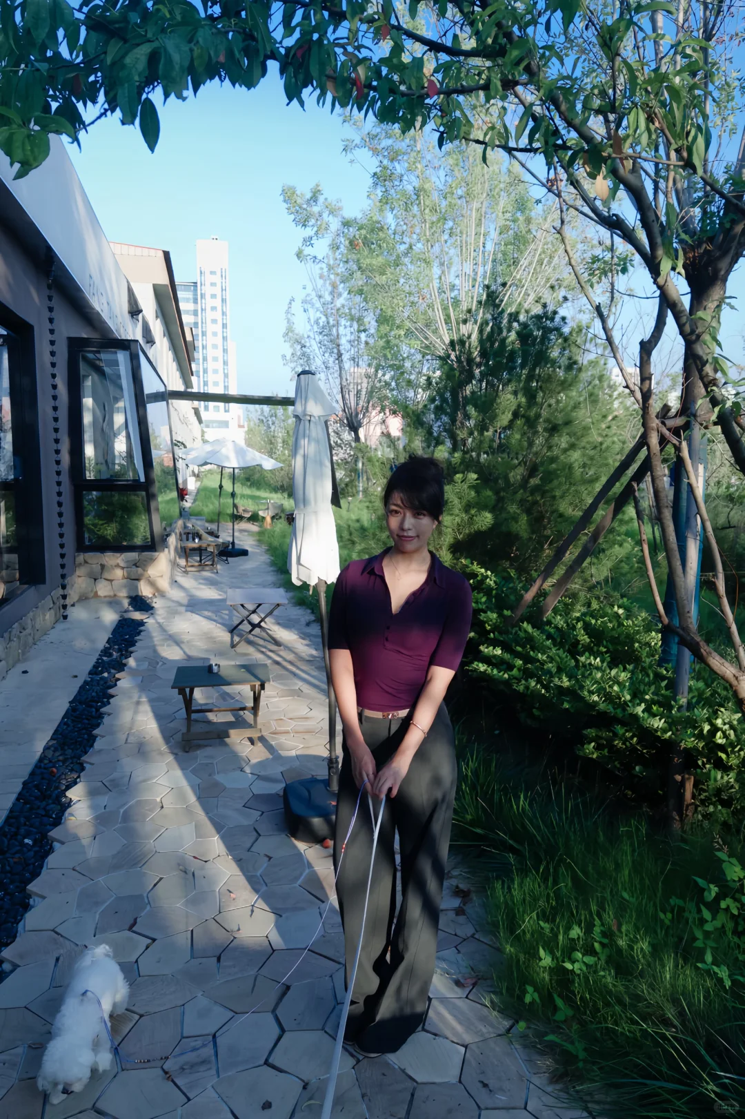 烟台可算天晴了