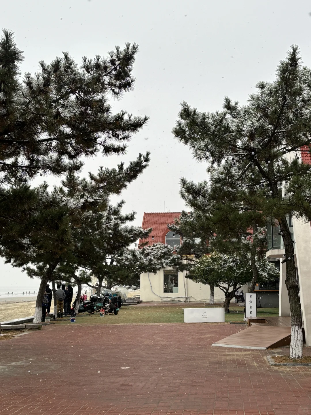 烟台12.20-12.31雪况更新！月底之前无雪！