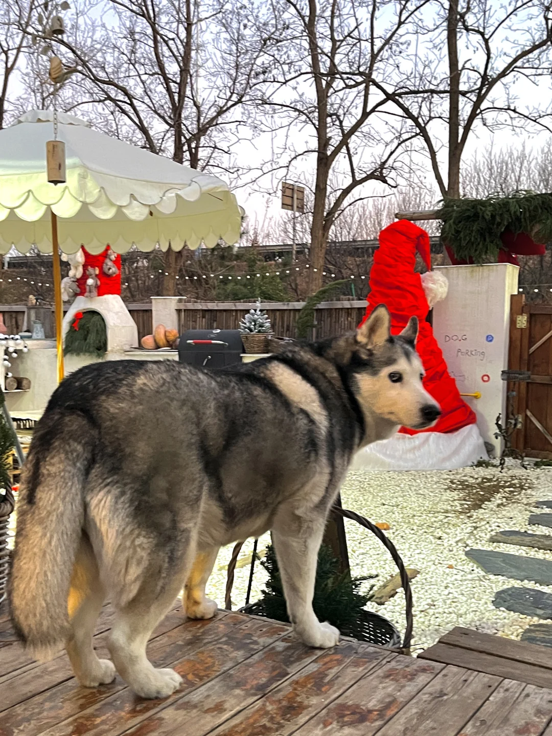 烟台圣诞氛围up🎄🌟