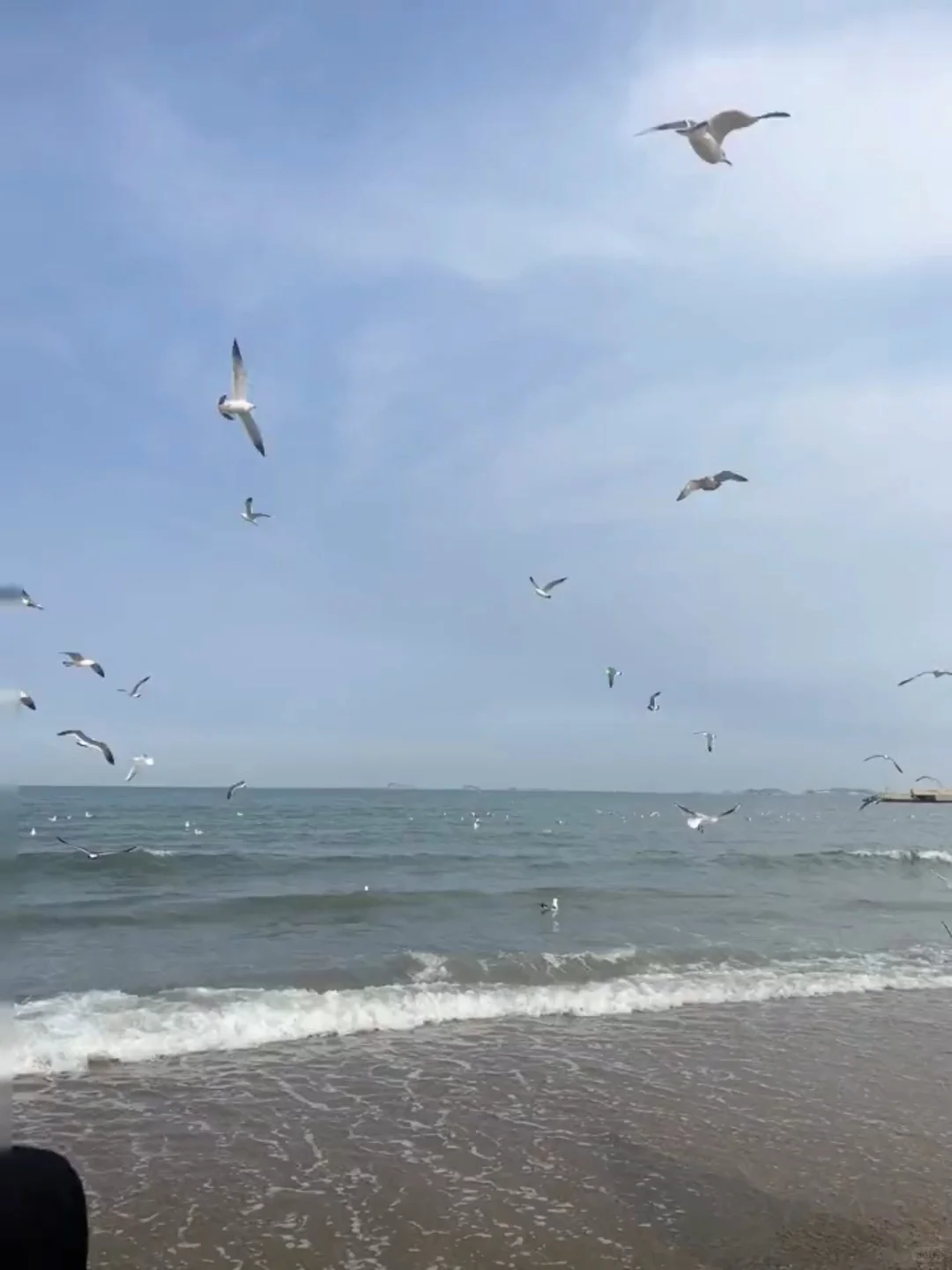 04女大新年旅行第二站📍烟台|路线分享~