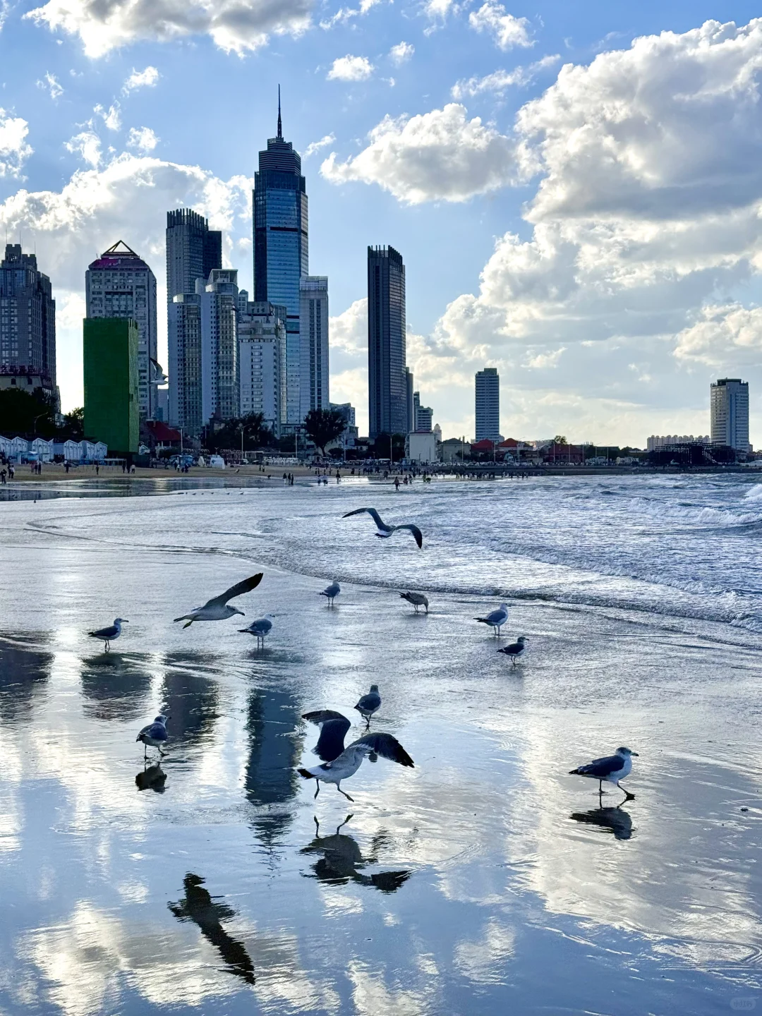 烟台明明挺美的 为什么我拍不出来