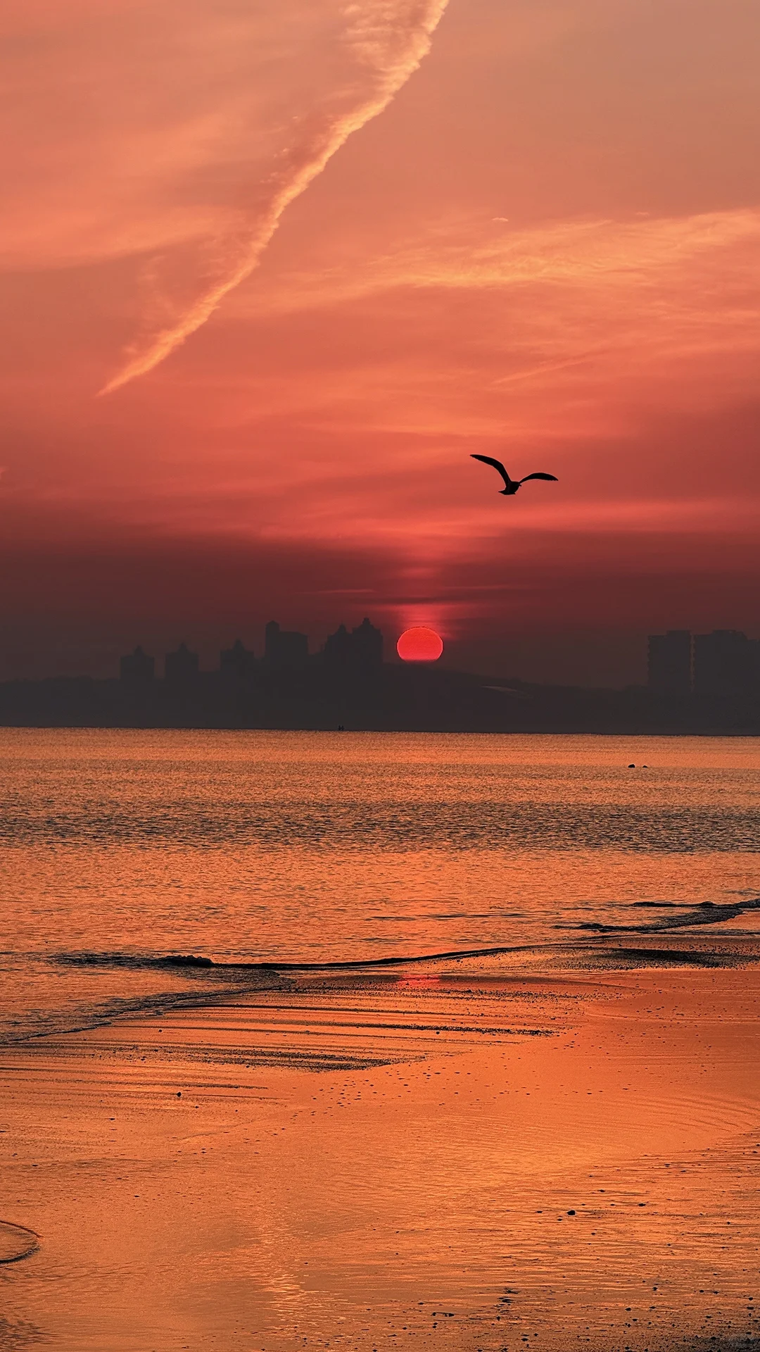 来烟台赴一场追光的浪漫