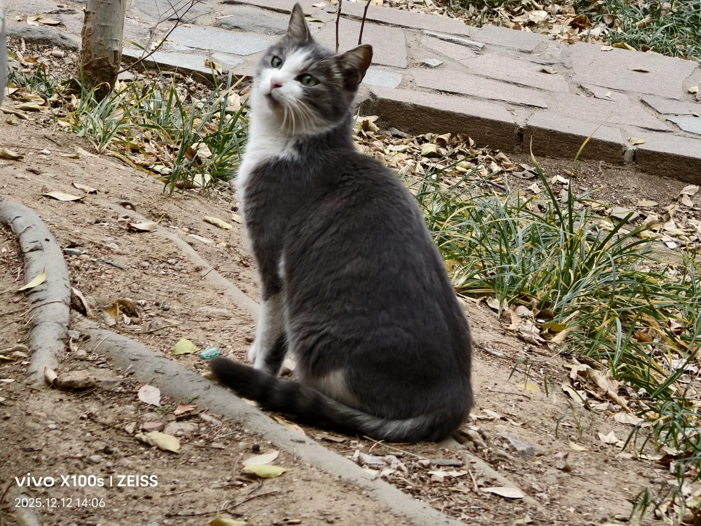 烟台好冷，也好冷清