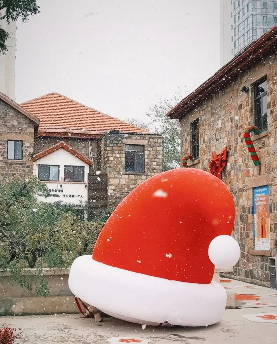 听说你的城市下雪了❄