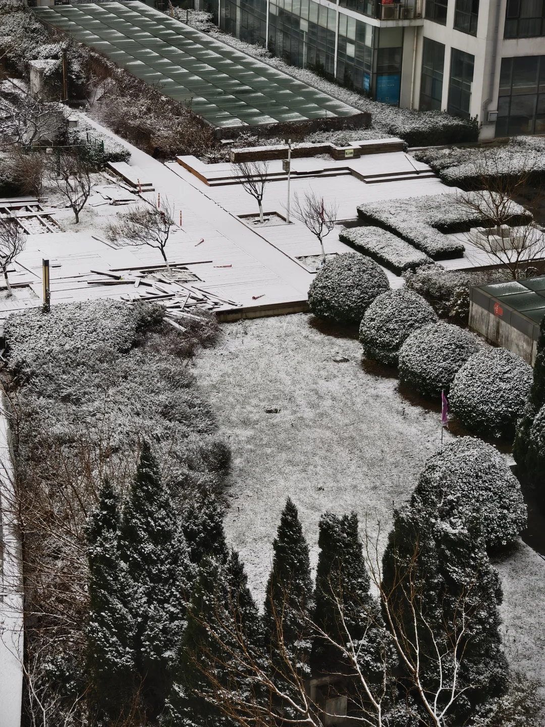 来看，今日烟台雪景实况❄️